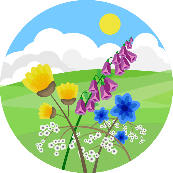footer logo